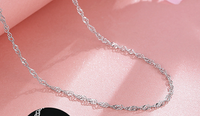 S925 Sterling Silver Necklace