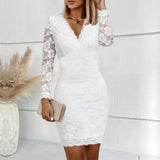 Fashion Bodycon Dress, Soft Lace Long Sleeves